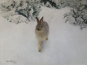 Hare in Winter by Bruno Liljefors Oil Painting