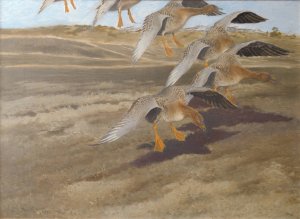 Wild Geese by Bruno Liljefors Oil Painting