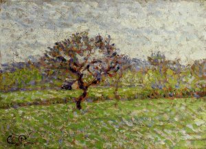 An Apple Tree at Eragny by Camille Pissarro Oil Painting