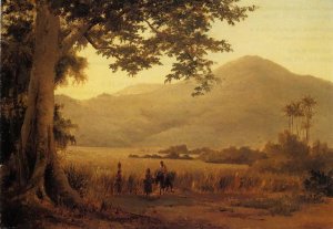 Antilian Landscape, St. Thomas