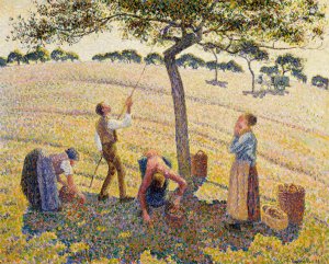 Apple Harvest by Camille Pissarro Oil Painting
