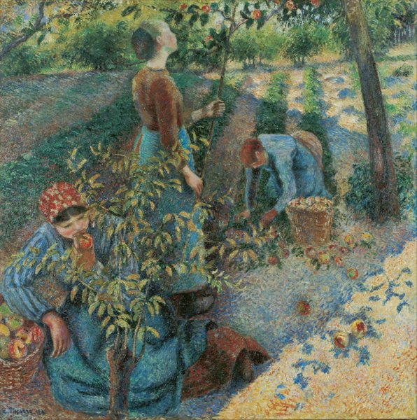 Apple Picking by Camille Pissarro - Hand-Painted Oil Painting Reproduction