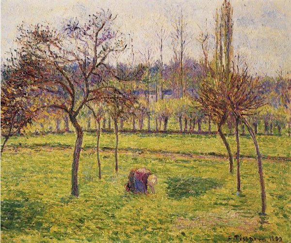 Main Product Photo of Apple Trees in a Field Painting by Camille Pissarro