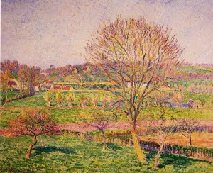 Big Walnut Tree at Eragny Oil painting by Camille Pissarro