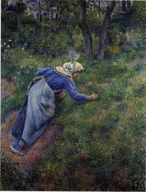 Peasant Gathering Grass by Camille Pissarro Oil Painting