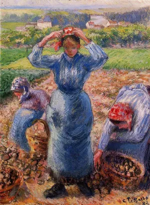Peasants Harvesting Potatoes Oil painting by Camille Pissarro