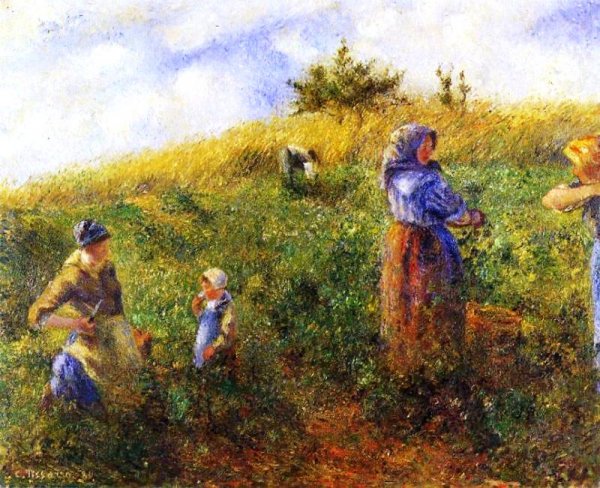Main Product Photo of Picking Peas II Painting by Camille Pissarro