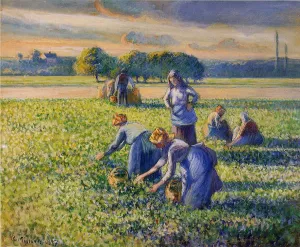 Picking Peas III by Camille Pissarro - Oil Painting Reproduction