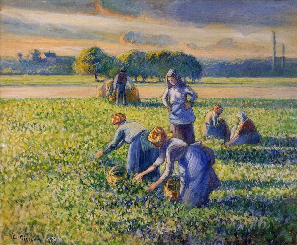 Picking Peas III by Camille Pissarro - Hand-Painted Oil Painting Reproduction