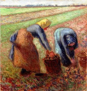 Potato Harvest by Camille Pissarro - Oil Painting Reproduction