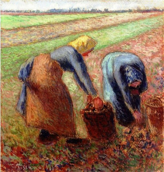 Main Product Photo of Potato Harvest Painting by Camille Pissarro