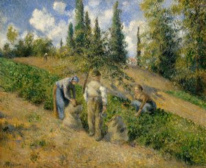 The Harvest, Pontoise by Camille Pissarro Oil Painting