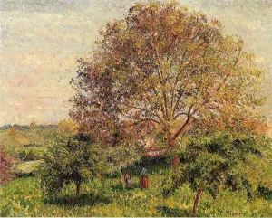 Walnut Tree in Spring Oil painting by Camille Pissarro