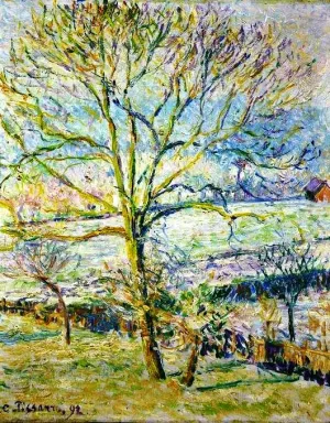 Walnut Tree by Camille Pissarro - Oil Painting Reproduction
