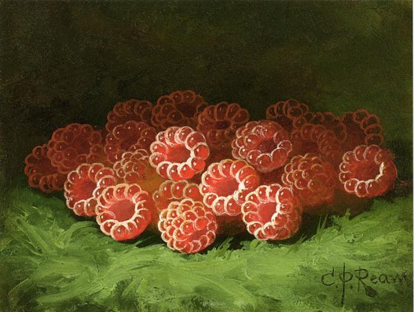 Still Life with Raspberies by Carducius Plantagenet Ream - Hand-Painted Oil Painting Reproduction