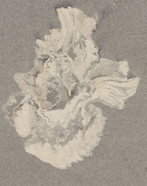 Azaleabloem by Carel Adolph Lion Cachet Oil Painting