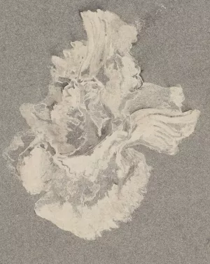 Azaleabloem by Carel Adolph Lion Cachet Oil Painting