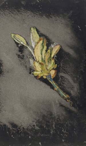 Bloem V by Carel Adolph Lion Cachet Oil Painting