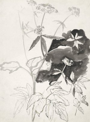 Plantenstudie by Carel Adolph Lion Cachet Oil Painting