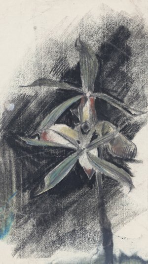 Twee orchideeen by Carel Adolph Lion Cachet Oil Painting