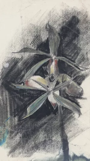 Twee orchideeen by Carel Adolph Lion Cachet Oil Painting