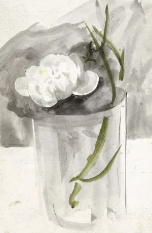 Witte bloem in een glas by Carel Adolph Lion Cachet Oil Painting