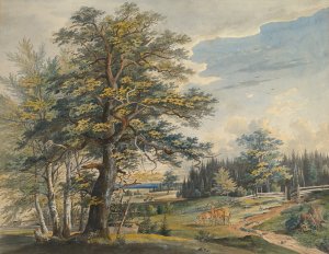 Wooded Landscape with Stag by Carl August Lebschee Oil Painting