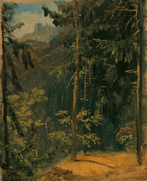 Waldweg im Harz by Carl Blechen Oil Painting