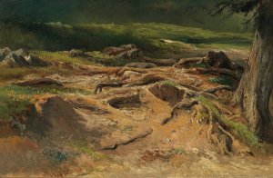 Waldstudie by Carl Franz Emanuel Haunold Oil Painting