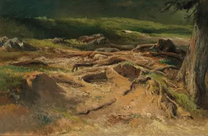Waldstudie by Carl Franz Emanuel Haunold Oil Painting