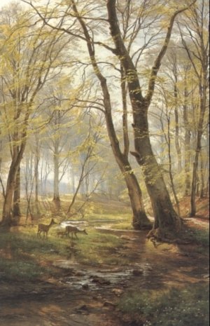 A Woodland Scene With Deer