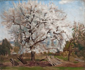 Apple Tree in Blossom by Carl Fredrik Hill Oil Painting