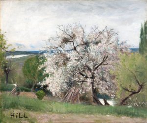 Fruit Tree in Blossom, Bois-le-Roi by Carl Fredrik Hill Oil Painting