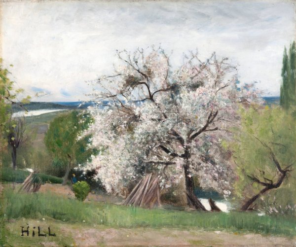 Fruit Tree in Blossom, Bois-le-Roi  by Carl Fredrik Hill - Hand-Painted Oil Painting Reproduction