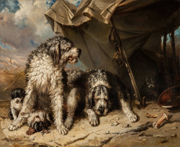 Dog Family by Carl Fredrik Kiorboe - Hand-Painted Oil Painting Reproduction