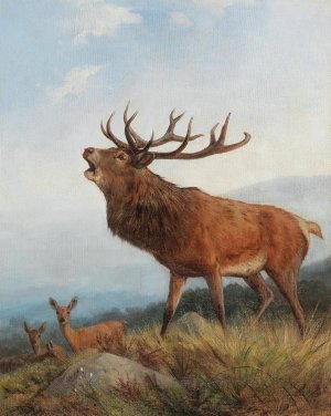 A Bellowing Stag by Carl Friedrich Deiker Oil Painting