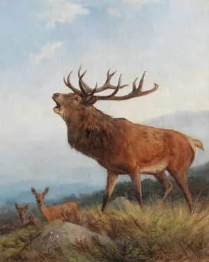 A Bellowing Stag by Carl Friedrich Deiker Oil Painting