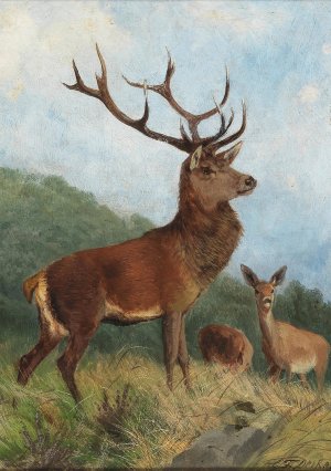 A Dominant Stag by Carl Friedrich Deiker Oil Painting