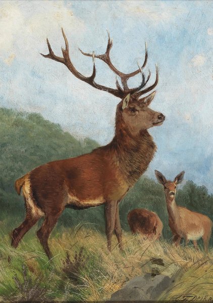 A Dominant Stag by Carl Friedrich Deiker - Hand-Painted Oil Painting Reproduction