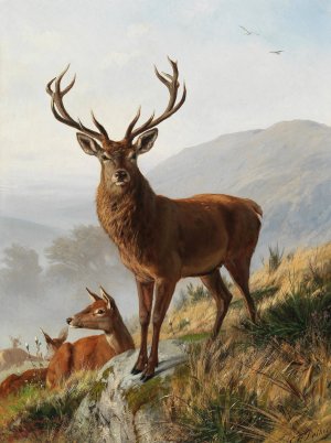 Der Kapitale Hirsch by Carl Friedrich Deiker Oil Painting
