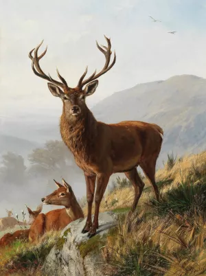 Der Kapitale Hirsch by Carl Friedrich Deiker Oil Painting