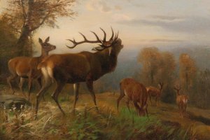 Herd of Red Deer by Carl Friedrich Deiker Oil Painting