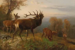 Herd of Red Deer by Carl Friedrich Deiker Oil Painting