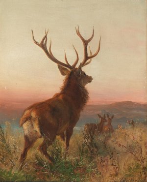 Kapitaler Hirsch mit Tieren by Carl Friedrich Deiker Oil Painting