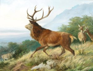 Red Deer in the Rutting Season by Carl Friedrich Deiker Oil Painting