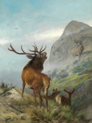 Rohrender Rothirsch by Carl Friedrich Deiker Oil Painting