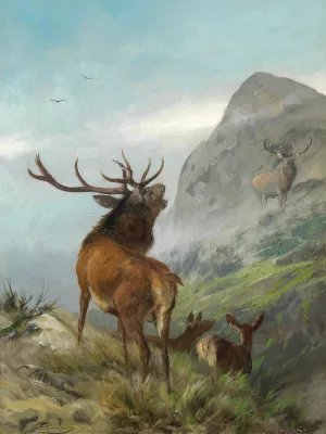 Rohrender Rothirsch by Carl Friedrich Deiker Oil Painting