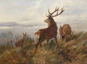 Rotwild in der Morgendammerung by Carl Friedrich Deiker Oil Painting