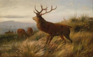 Rotwildrudel by Carl Friedrich Deiker Oil Painting