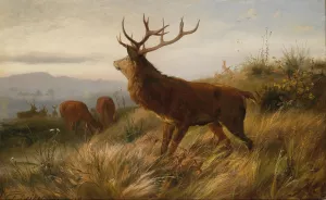 Rotwildrudel by Carl Friedrich Deiker Oil Painting